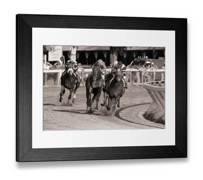 Framed Print : Horses Racing