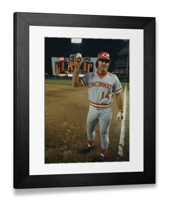 Framed Print : Pete Rose of the Cincinnati Reds holds up a baseball following his record-breaking Framed Print : Pete Rose of the Cincinnati Reds holds up a baseball following his record-breaking