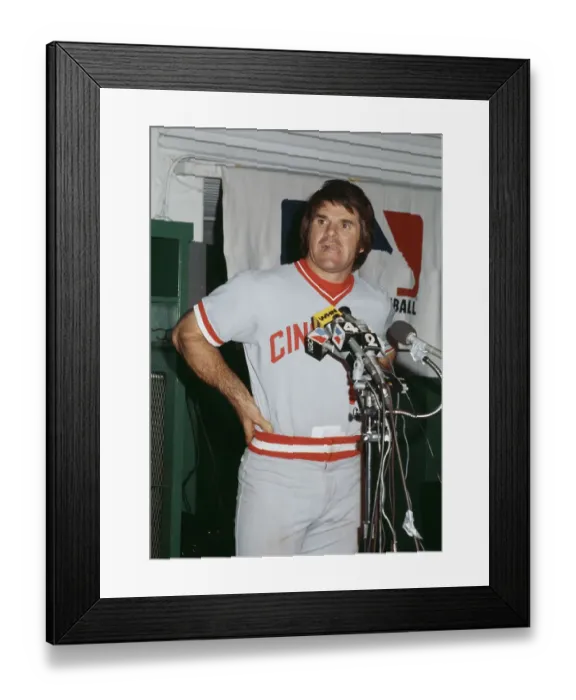 Framed Print : Peter Rose