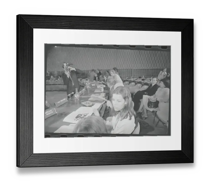 Framed Print : Princess Caroline at UNESCO Meeting Framed Print : Princess Caroline at UNESCO Meeting