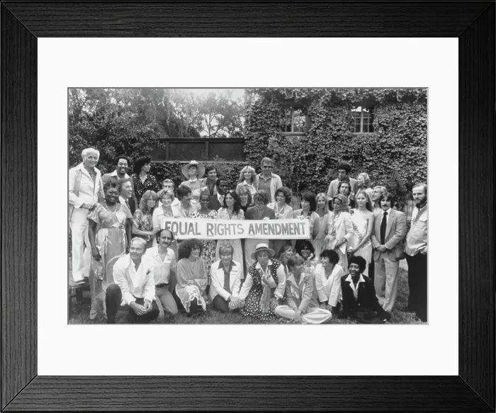 Framed Print : Equal Rights Amendment Fundraiser Framed Print : Equal Rights Amendment Fundraiser