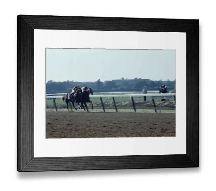 Framed Print : 1978 Belmont Stakes