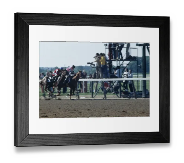 Framed Print : 1978 Belmont Stakes