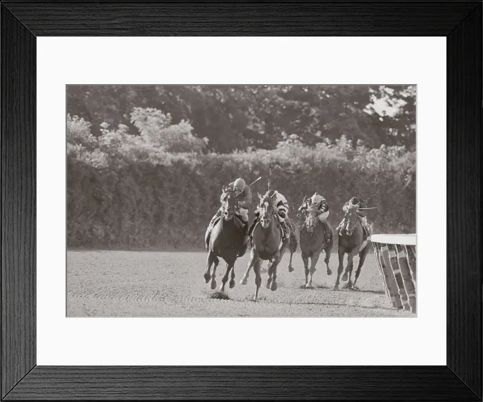 Framed Print : Horse Racing at Belmont Stakes Framed Print : Horse Racing at Belmont Stakes