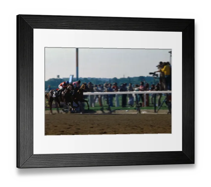 Framed Print : Affirmed Winning Triple Crown