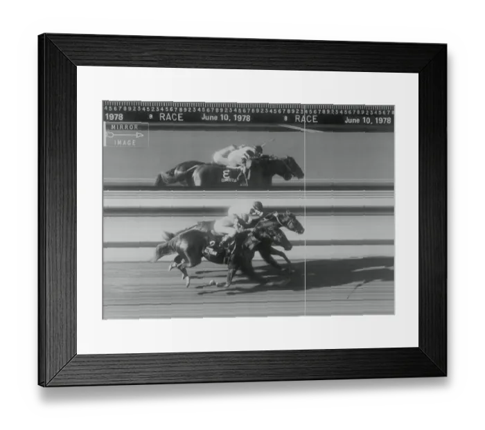 Framed Print : Photo Finish Revealing Winner