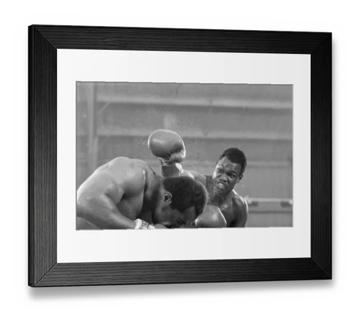 Framed Print : Larry Holmes Misses Punching Ken Norton Framed Print : Larry Holmes Misses Punching Ken Norton