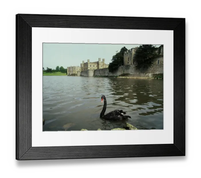 Framed Print : Leeds Castle, Kent Framed Print : Leeds Castle, Kent