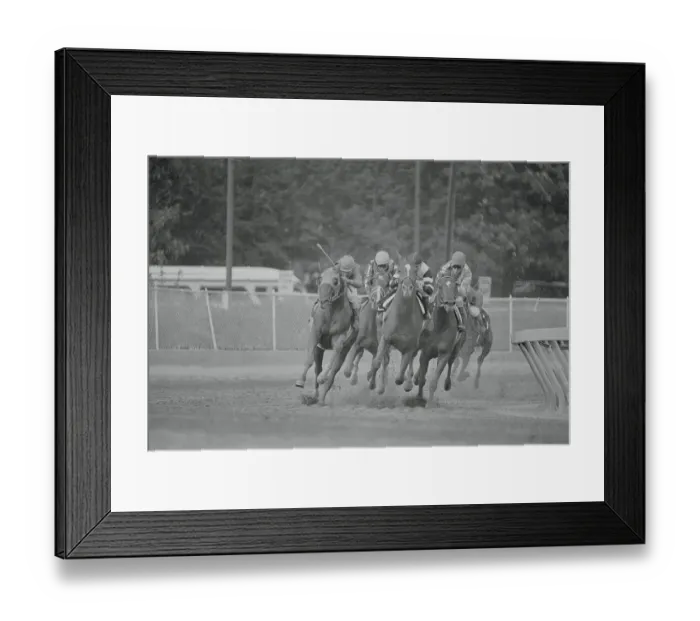 Framed Print : Affirmed Leading the Pack Framed Print : Affirmed Leading the Pack