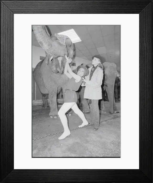 Framed Print : Eartha Kitt Standing with Her Daughter and Circus Elephant Framed Print : Eartha Kitt Standing with Her Daughter and Circus Elephant