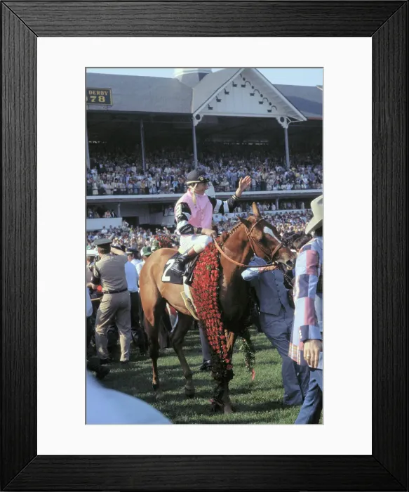 Framed Print : Jockey Steve Cauthen Riding Winning Horse Affirmed Framed Print : Jockey Steve Cauthen Riding Winning Horse Affirmed