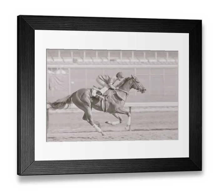 Framed Print : Jose Ithier Riding Affirmed Framed Print : Jose Ithier Riding Affirmed