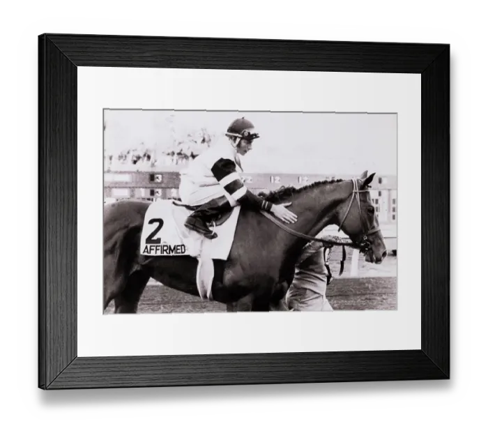 Framed Print : Jockey Patting Affirmed on the Neck Framed Print : Jockey Patting Affirmed on the Neck