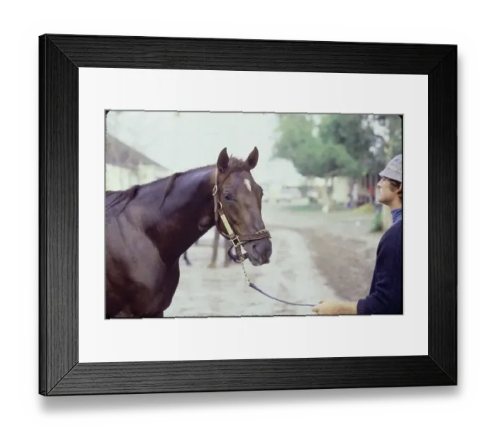 Framed Print : Race Horse with Trainer Framed Print : Race Horse with Trainer