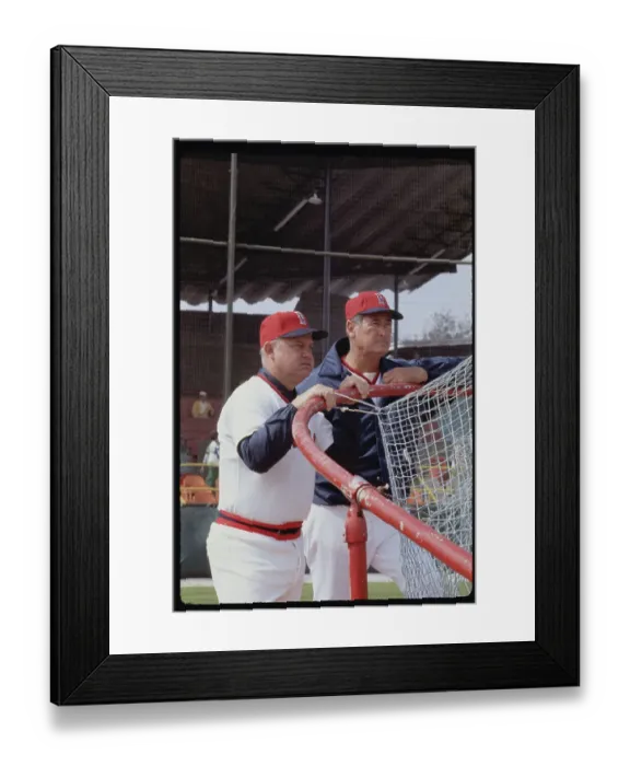 Framed Print : Ted Williams and Don Zimmer