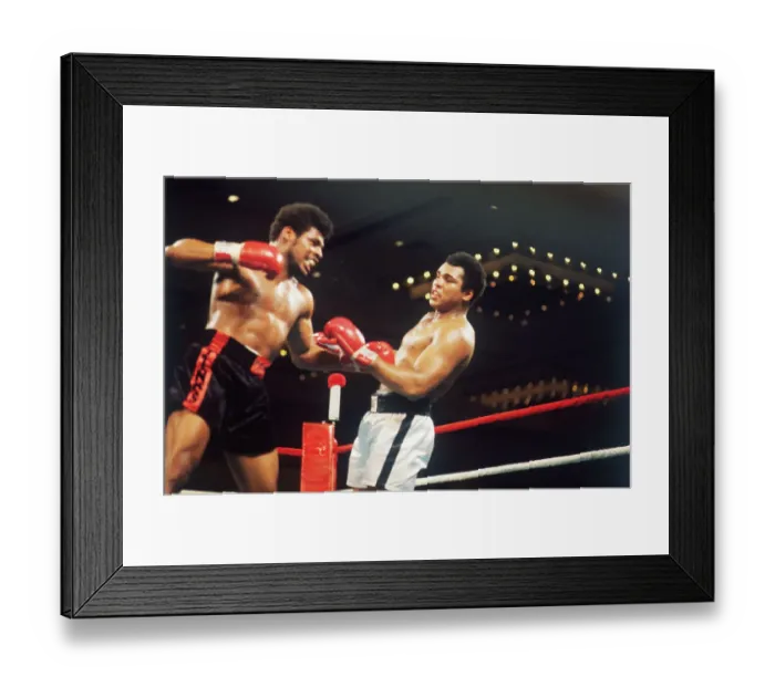 Framed Print : Leon Spinks and Muhammad Ali During Bout Framed Print : Leon Spinks and Muhammad Ali During Bout