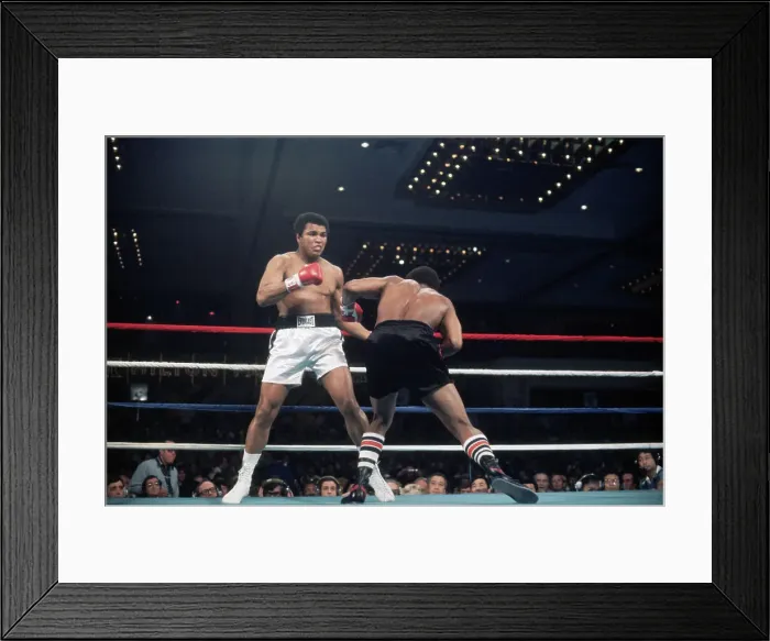 Framed Print : Muhammad Ali and Leon Spinks Fighting Framed Print : Muhammad Ali and Leon Spinks Fighting