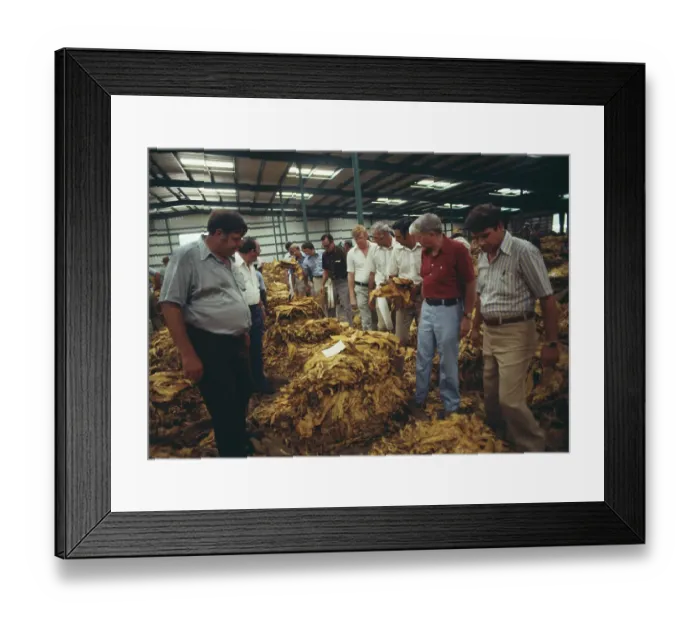 Framed Print : Tobacco Auction Framed Print : Tobacco Auction