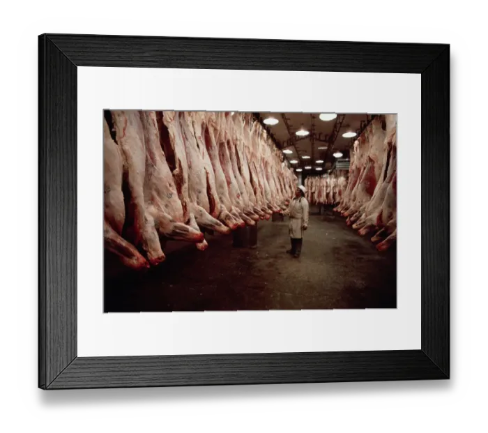 Framed Print : Man looking at Cow Carcasses Framed Print : Man looking at Cow Carcasses