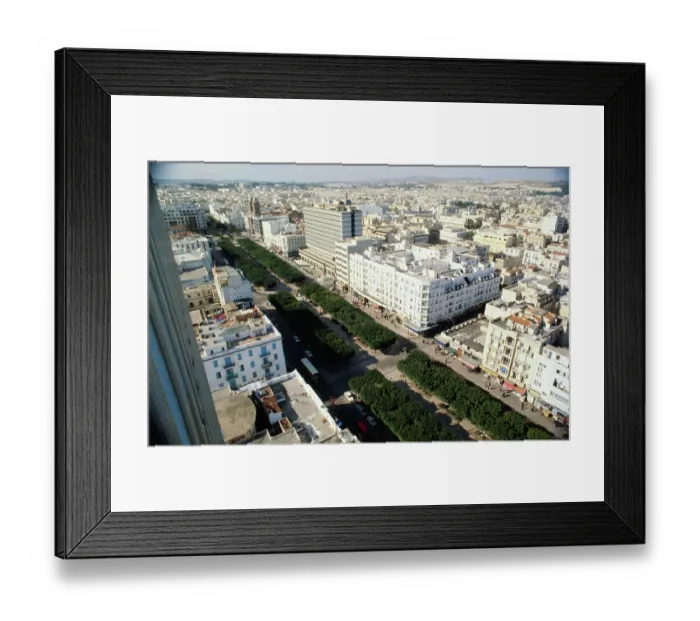 Framed Print : Tunis City Framed Print : Tunis City