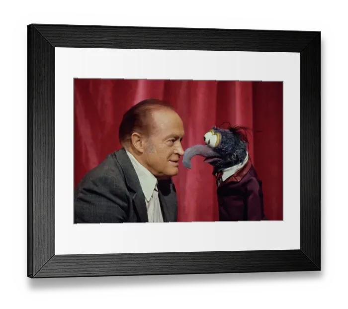 Framed Print : Bob Hope And Gonzo Framed Print : Bob Hope And Gonzo