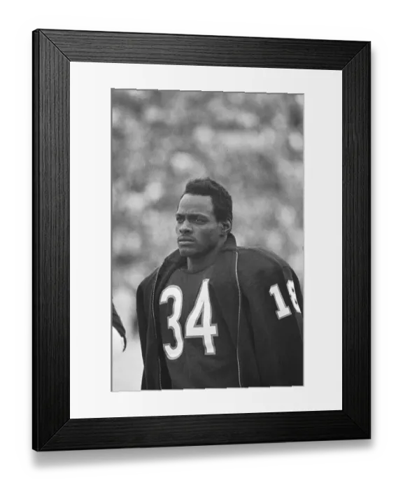 Framed Print : Chicago Bears Player Walter Payton Framed Print : Chicago Bears Player Walter Payton