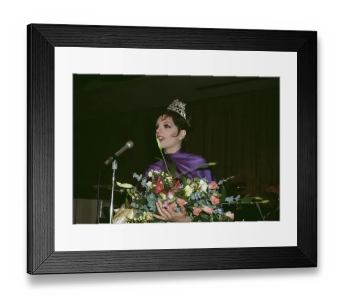 Framed Print : Liza Minnelli Framed Print : Liza Minnelli