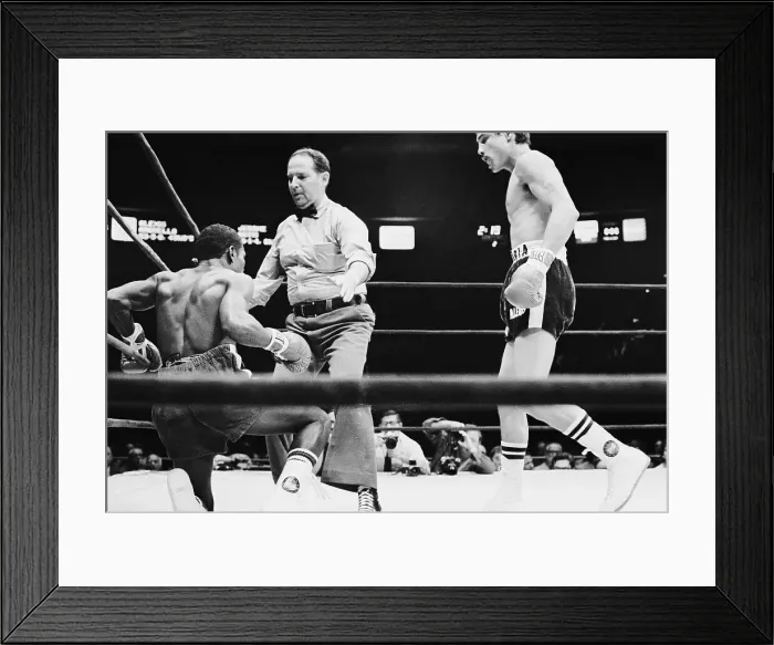 Framed Print : A.Arguello Knocks J.Artis Down in Fight Framed Print : A.Arguello Knocks J.Artis Down in Fight
