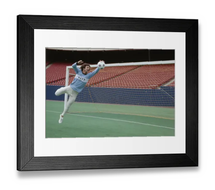 Framed Print : Shep Messing
