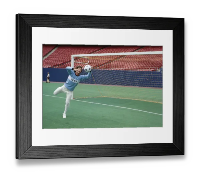Framed Print : Shep Messing Framed Print : Shep Messing