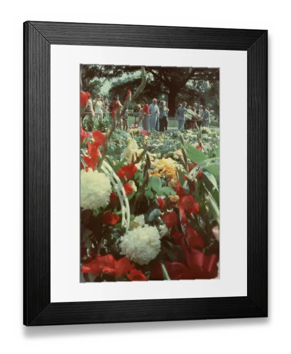 Framed Print : Funeral Of Elvis Presley Framed Print : Funeral Of Elvis Presley