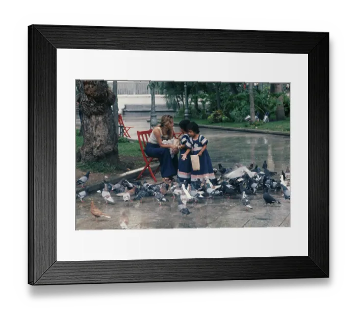 Framed Print : Girls Feeding Pigeons Framed Print : Girls Feeding Pigeons