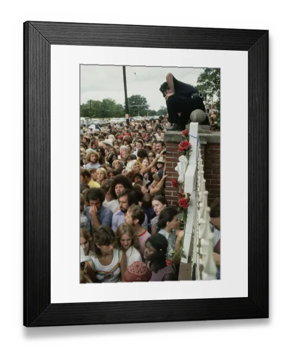 Framed Print : Crowd At Graceland Framed Print : Crowd At Graceland