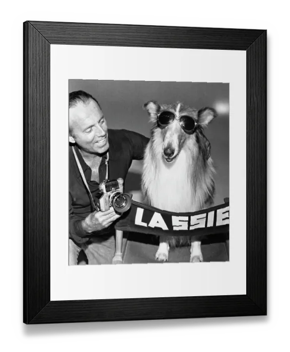 Framed Print : Lassie and Photographer Francesco Scavallo Framed Print : Lassie and Photographer Francesco Scavallo