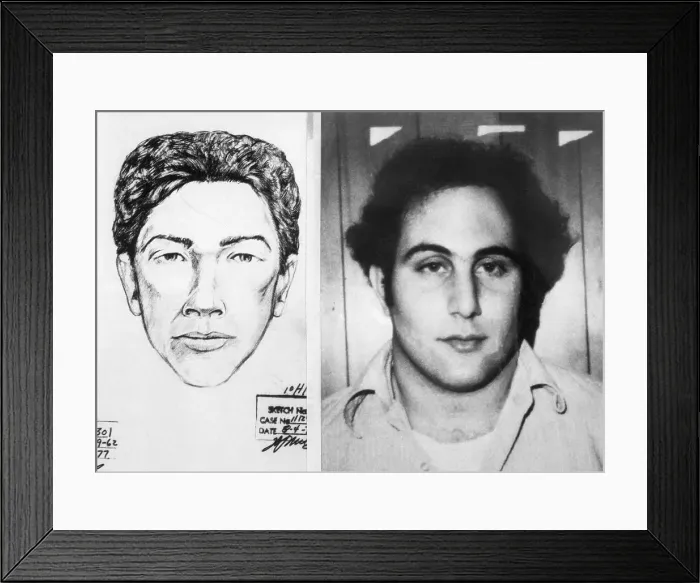 Framed Print : David Berkowitz Framed Print : David Berkowitz