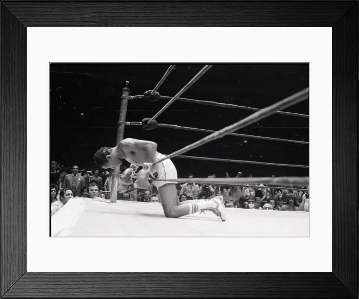 Framed Print : Jose Chavez Leans Over Rope in Boxing Ring