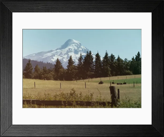 Framed Print : Mount Hood, Oregon Framed Print : Mount Hood, Oregon