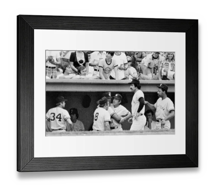 Framed Print : Billy Martin and Reggie Jackson Argue in the Dugout Framed Print : Billy Martin and Reggie Jackson Argue in the Dugout