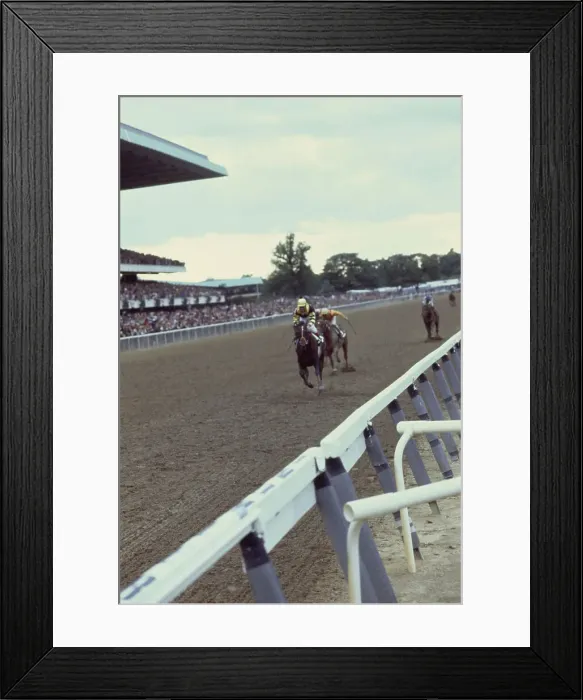 Framed Print : Seattle Slew Winning Belmont Stakes Framed Print : Seattle Slew Winning Belmont Stakes