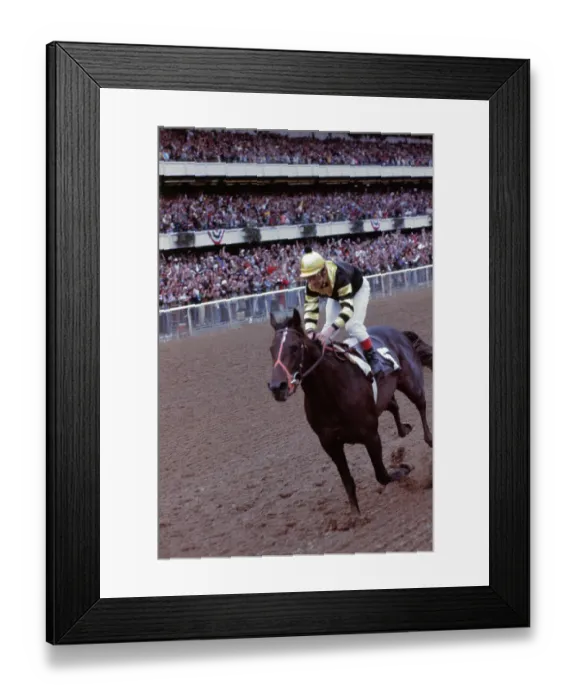 Framed Print : Seattle Slew Racing with Crowd Behind Framed Print : Seattle Slew Racing with Crowd Behind