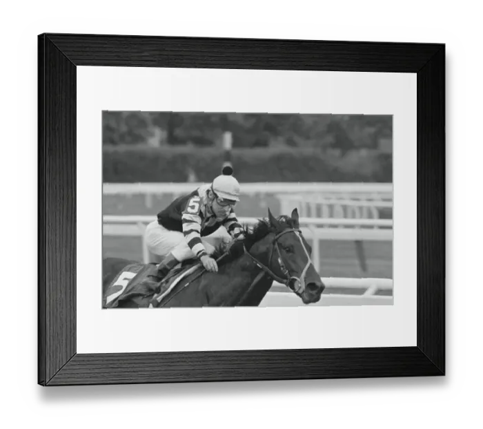 Framed Print : Jean Cruguet and Seattle Slew in Belmont Stakes Framed Print : Jean Cruguet and Seattle Slew in Belmont Stakes