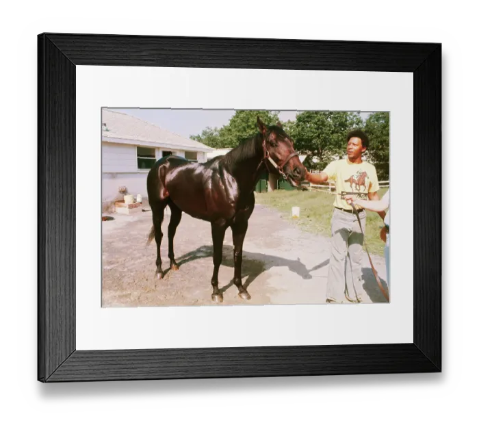 Framed Print : Seattle Slew with Groomer Framed Print : Seattle Slew with Groomer