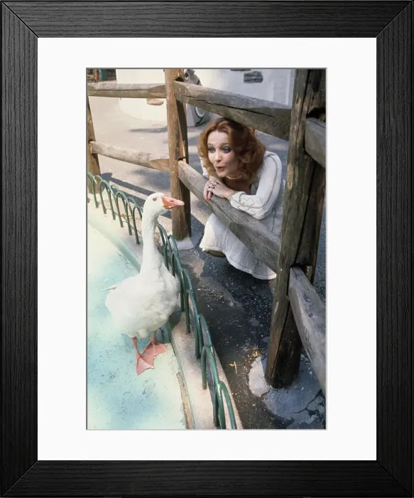 Framed Print : Millicent Martin Framed Print : Millicent Martin