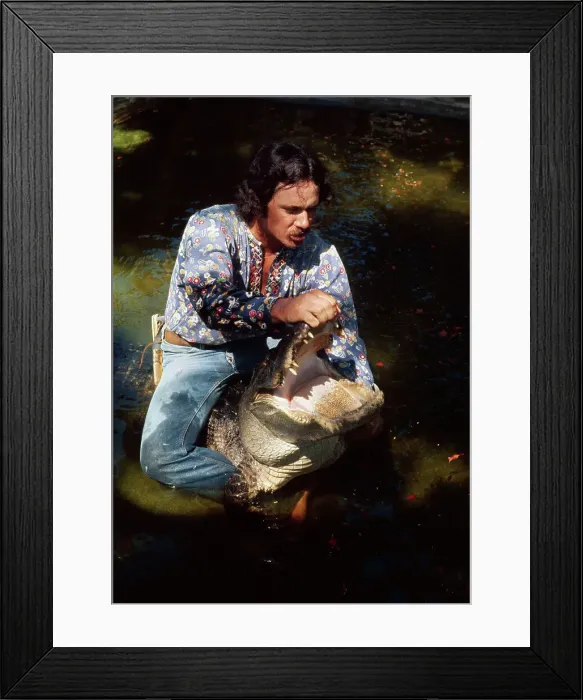 Framed Print : Man Wrestling Alligator Framed Print : Man Wrestling Alligator