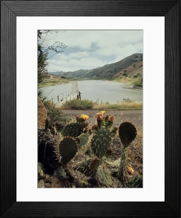 Framed Print : Catalina Island Reservoir Framed Print : Catalina Island Reservoir