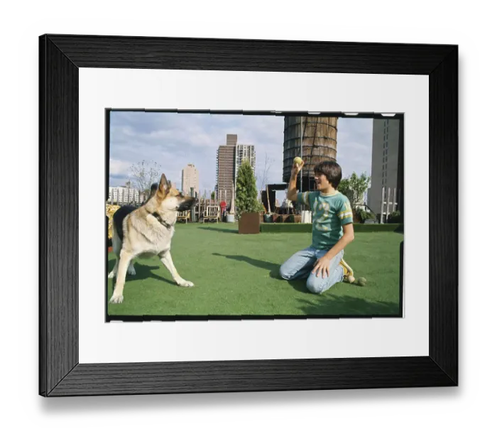 Framed Print : Scott Baio Playing with Dog Framed Print : Scott Baio Playing with Dog