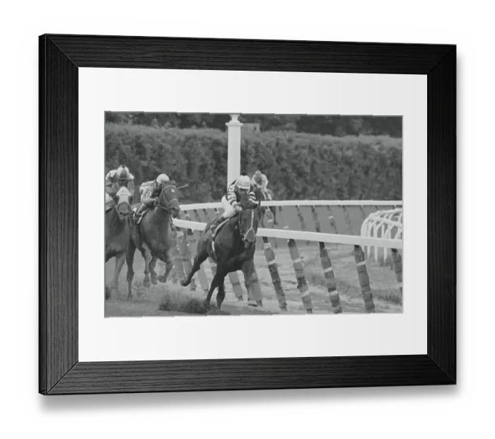 Framed Print : Jean Cruguet Riding Seattle Slew Framed Print : Jean Cruguet Riding Seattle Slew