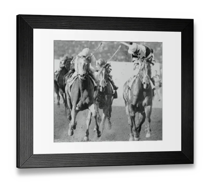 Framed Print : Seattle Slew Winning Preakness Stakes Framed Print : Seattle Slew Winning Preakness Stakes