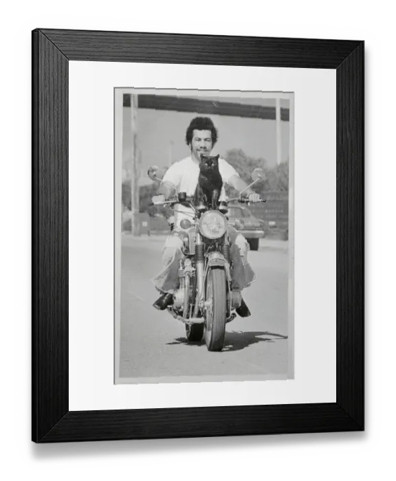 Framed Print : Man and Cat Traveling by Motorcycle Framed Print : Man and Cat Traveling by Motorcycle