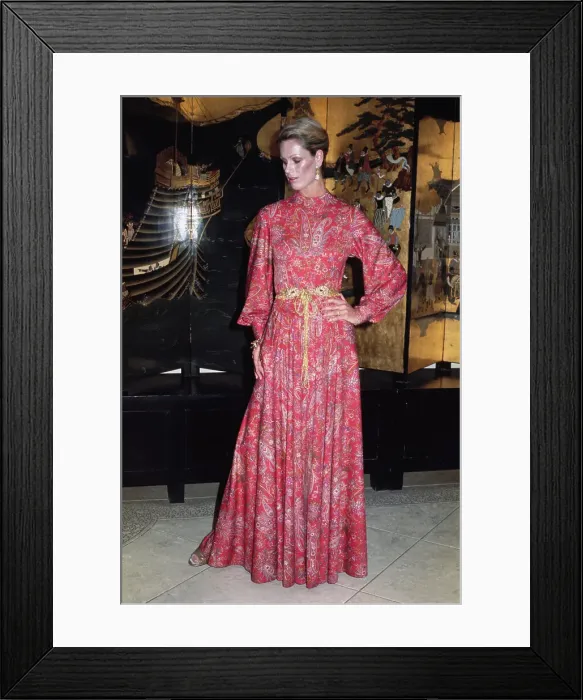 Framed Print : Model Wearing Evening Dress Framed Print : Model Wearing Evening Dress